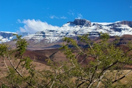 Drakensberg Accommodation at Treks, Trips & Trails | Viya