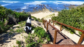 Port Alfred Accommodation at Bretton Beach Crest Holiday Cottages | Viya