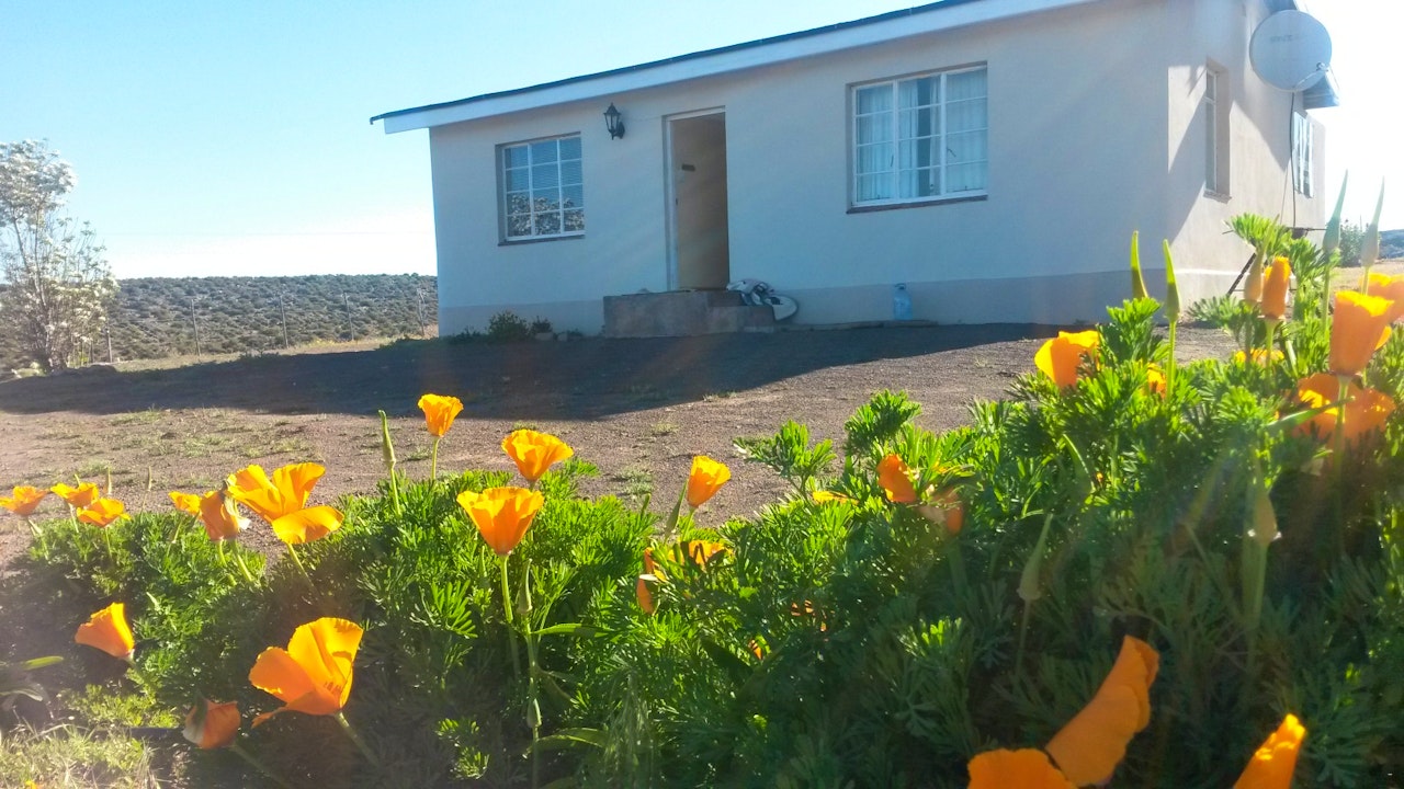 Karoo Accommodation at  | Viya