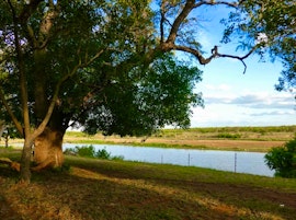 Limpopo Accommodation at SANParks Shimuwini Bushveld Camp | Viya