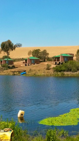 Western Cape Accommodation at  | Viya