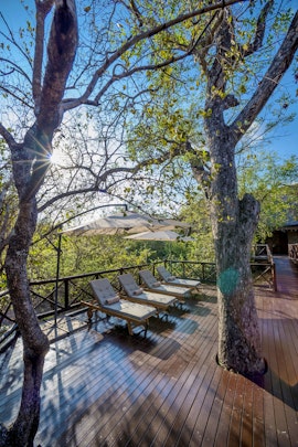 Kruger National Park South Accommodation at La Kruger Lifestyle Lodge | Viya