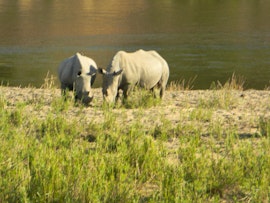 Kruger National Park South Accommodation at Kruger View Chalets | Viya