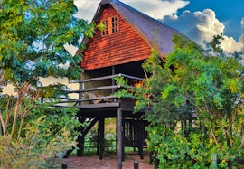 Dinokeng Game Reserve Accommodation at  | Viya