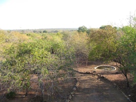 Kruger National Park South Accommodation at 'NdaBushi | Viya