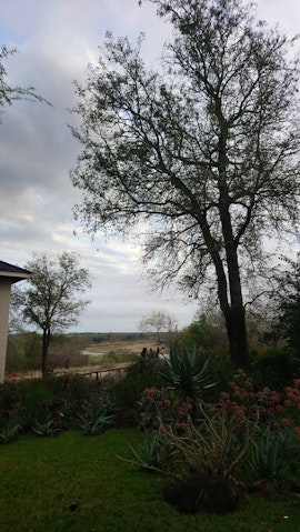 Kruger National Park South Accommodation at 1815 Seekoei | Viya